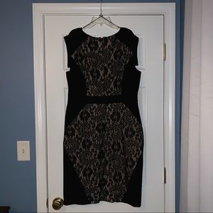Black Cream Lace Cocktail Dress
